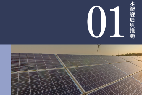 01 Sustainable   Development & Promotion