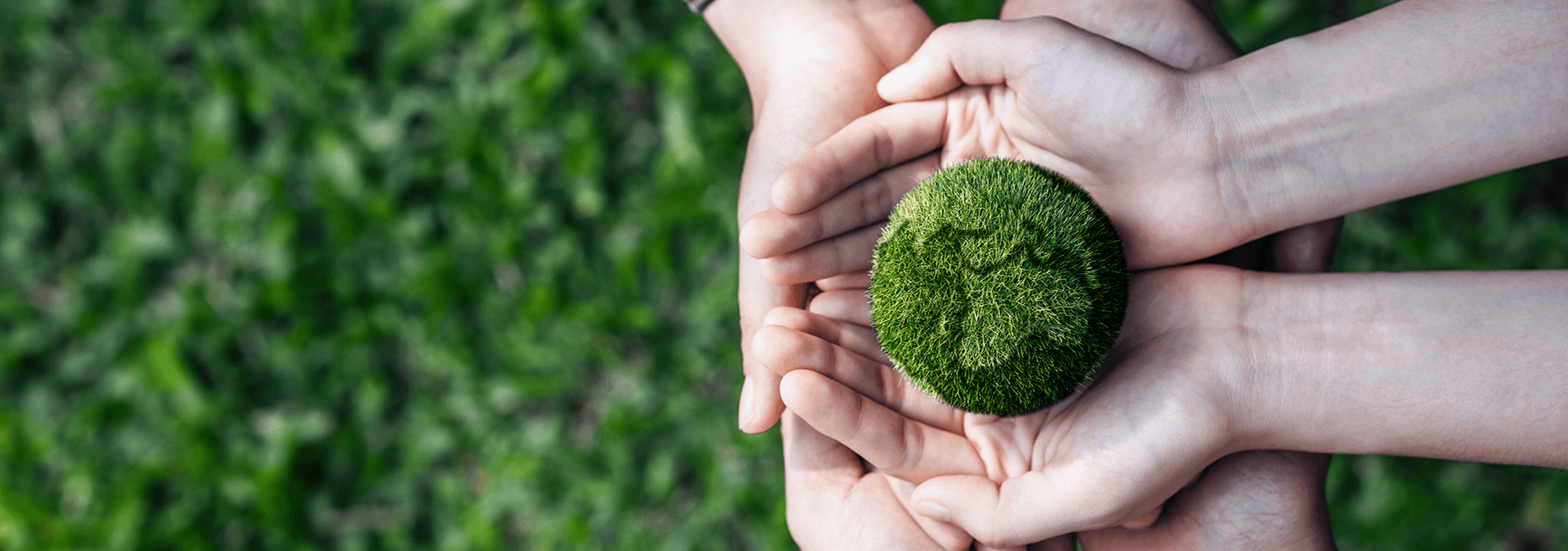 04 Environmental Sustainability and Management