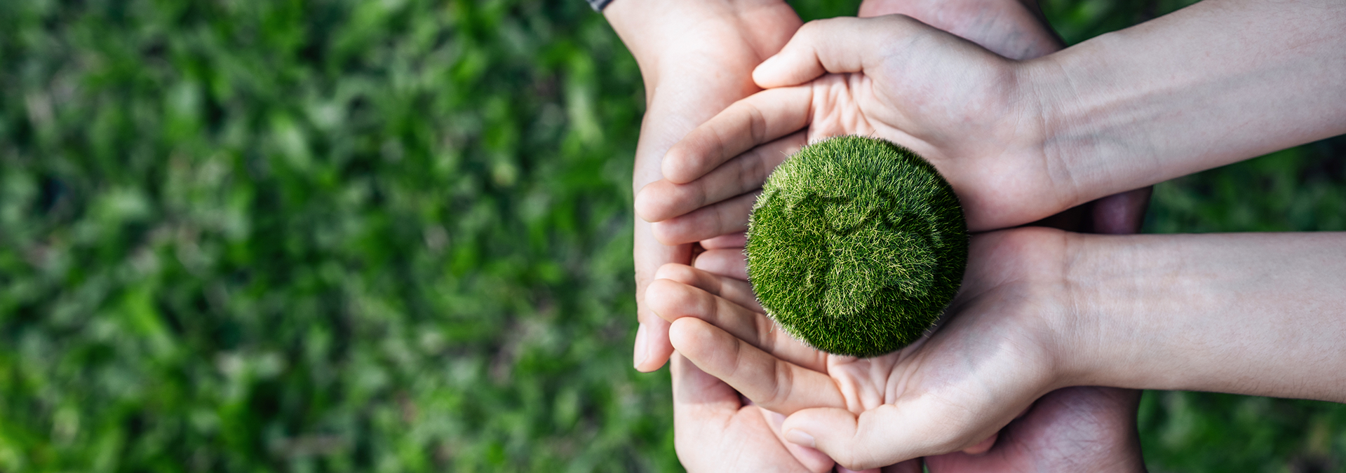 06 Social  Engagement