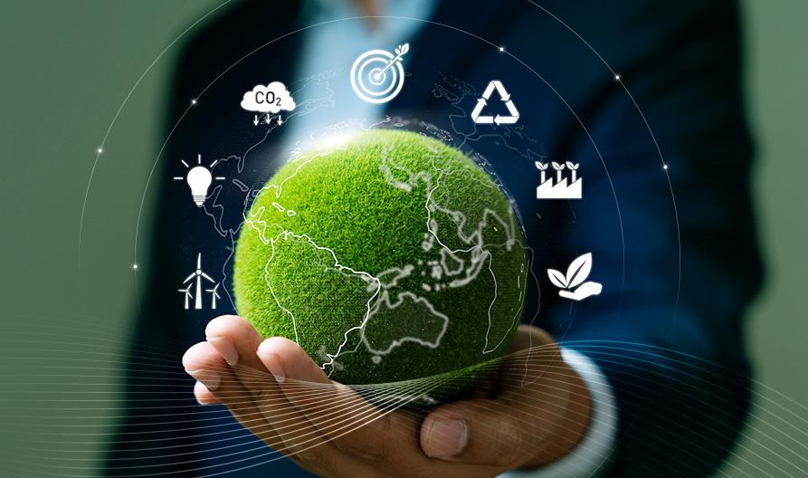 Environmental Sustainability and Management