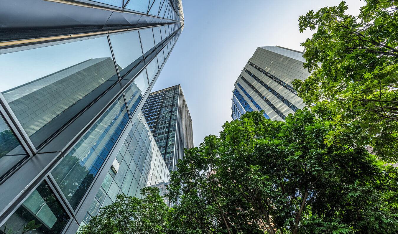 Corporate Operations and Governance